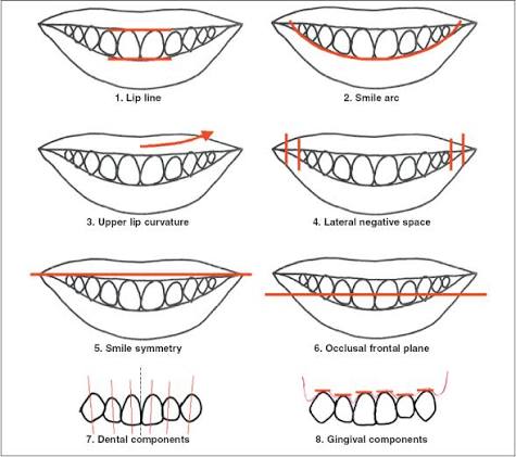 NeoBiotech SMILE ARCH for Digital VDO Determination